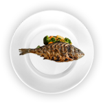 Levrek (sea Bass) 